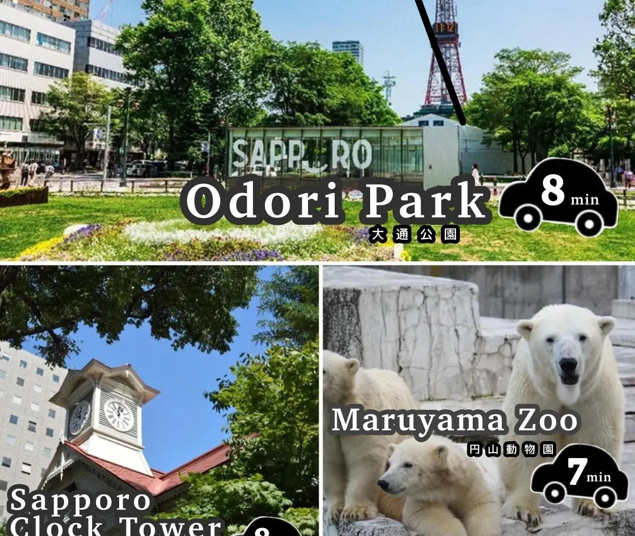 Mondomio 510 Sapporo